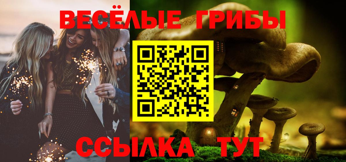 Псилоцибиновые грибы мицелий Ржев