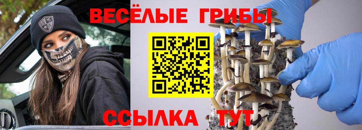 Ржев  Псилоцибиновые грибы Psilocybine cubensis  Вход с VPN  хочу наркоту  Галлюциногенные грибы Cubensis 
